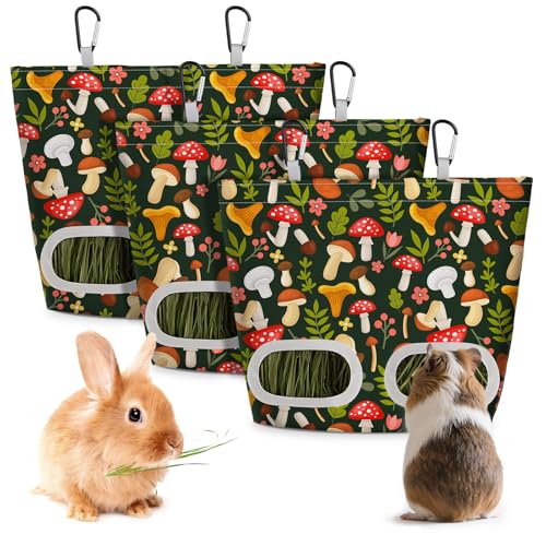 Glittme Meerschweinchen-Heu-Futterstation für Kaninchen, Heuspender zum Aufhängen, für Meerschweinchen, Heu-Futterspender für Kaninchen, kleine Haustiere, grüner Pilz, 3 Stück Glittme Meerschweinchen-Heu-Futterstation für Kaninchen, Heuspender zum Aufhängen, für Meerschweinchen, Heu-Futterspender für Kaninchen, kleine Haustiere, grüner Pilz, 3 Stück von Glittme