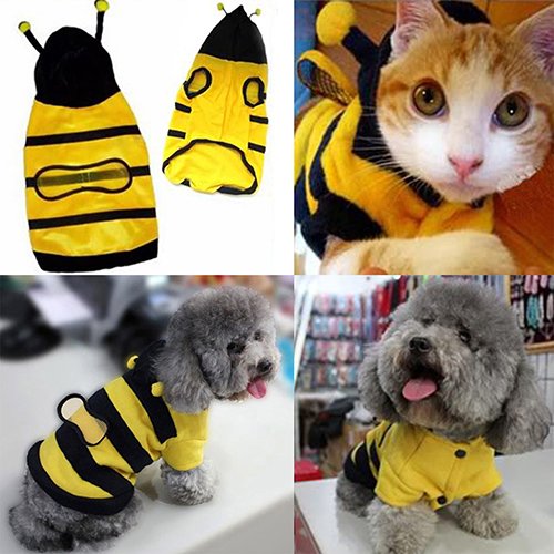 globaldeal Direct Bee Pet Hoodie Kleidung Cute Fancy Puppy Apparel Kostüm Katze Hundemantel Outfit von GlobalDeal Direct