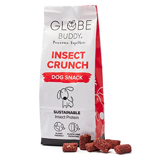 Globe Buddy | Insekt Crunch Hundesnack | Mit Insekten & Gemüse | Die nachhaltige Wahl | Getreidefrei | 200g von Globe Buddy