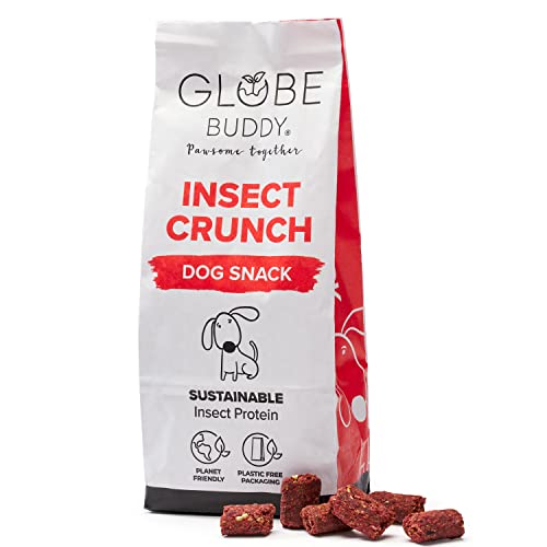 Globe Buddy Insect Crunch | Natürliche Hundeleckerlis aus Insekten & Gemüse | Die nachhaltige Wahl | Getreidefrei | Ohne künstliche Zusätze | 200 g von Globe Buddy