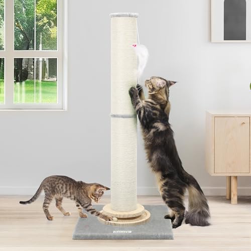 Globlazer Kratzstamm XXL Groß, Kratzsäule XXL Hoch 90 cm & 50 cm 2 IN 1 Einstellbar Kratzbaum mit Plüsch Katzenspielzeug, Holz Trackerball, Stabil Kratzsäulen Sisal für Große Katzen, SC35 Hellgrau Globlazer Kratzstamm XXL Groß, Kratzsäule XXL Hoch 90 cm & 50 cm 2 IN 1 Einstellbar Kratzbaum mit Plüsch Katzenspielzeug, Holz Trackerball, Stabil Kratzsäulen Sisal für Große Katzen, SC35 Hellgrau von Globlazer