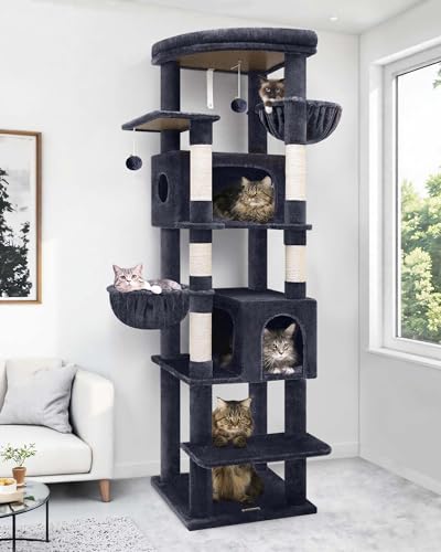 Globlazer S74 Robuster Kratzbaum, 188 cm, robuster Katzenbaum für große Katzen, 9 kg, großer Katzenbaum mit 5 Sisal-Kratzstämmen, 2 gepolsterten Höhlen, 2 Doppelohr-Hängekörben, vergrößerte obere Globlazer S74 Robuster Kratzbaum, 188 cm, robuster Katzenbaum für große Katzen, 9 kg, großer Katzenbaum mit 5 Sisal-Kratzstämmen, 2 gepolsterten Höhlen, 2 Doppelohr-Hängekörben, vergrößerte obere von Globlazer