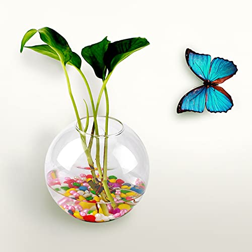 Glomora Hanging Glass Vase for Wall Decor - Modern Transparent Plant Pot with Hole for Easy Mounting (Water Plants, Home Office Decor) (Half Round) von Glomora