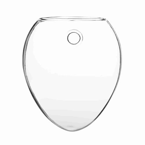 Glomora Hanging Glass Vase for Wall Decor - Modern Transparent Plant Pot with Hole for Easy Mounting (Water Plants, Home Office Decor) (Mouse Shape) von Glomora