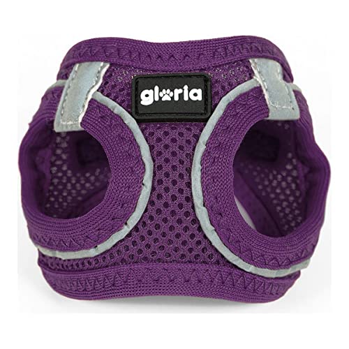 Arnés/Vestido Air Mesh Trek Star Arnés/Vestido Air Mesh Trek Star von Gloria