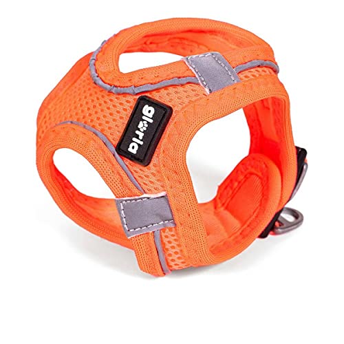Arnés/Vestido Air Mesh Trek Star Arnés/Vestido Air Mesh Trek Star von Gloria