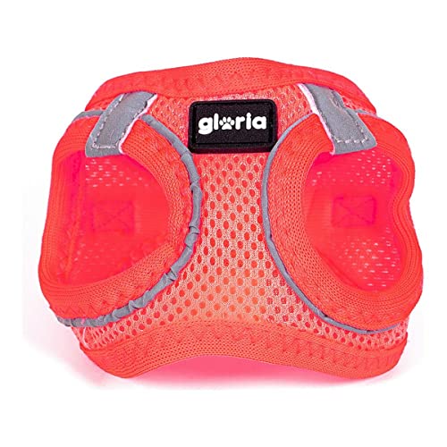 Arnés/Vestido Air Mesh Trek Star Arnés/Vestido Air Mesh Trek Star von Gloria