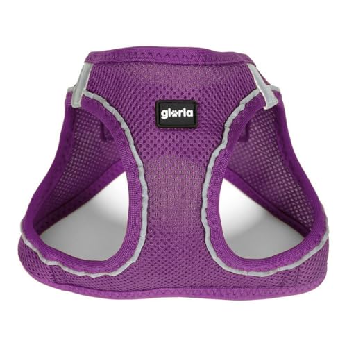 Gloria Air Mesh Trek Star Hundegeschirr, verstellbar, Violett, Größe L (33,4-35 cm) Gloria Air Mesh Trek Star Hundegeschirr, verstellbar, Violett, Größe L (33,4-35 cm) von Gloria