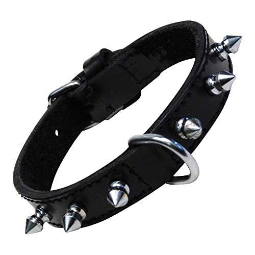 GLORIA 8432288020258 Halshaut 1 Reihe von Spikes, Negro, 250 g GLORIA 8432288020258 Halshaut 1 Reihe von Spikes, Negro, 250 g von Gloria