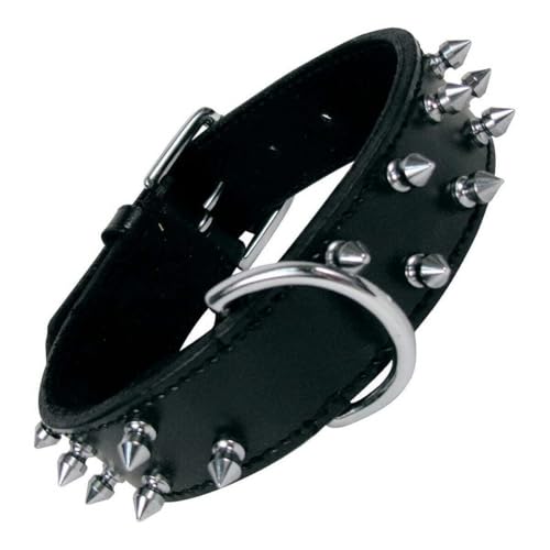 GLORIA 8432288103357 Collar Leder 2-reihigen Nieten, Negro, 250 g GLORIA 8432288103357 Collar Leder 2-reihigen Nieten, Negro, 250 g von Gloria