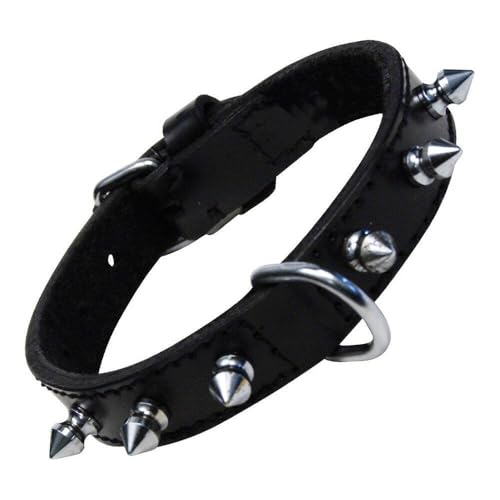 GLORIA 8432288103395 Halshaut 1 Reihe von Spikes, Negro, 250 g von Gloria