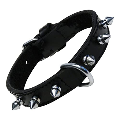 GLORIA 8432288103401 Halshaut 1 Reihe von Spikes, Negro, 250 g GLORIA 8432288103401 Halshaut 1 Reihe von Spikes, Negro, 250 g von Gloria