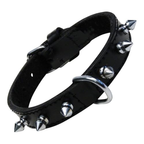 GLORIA 8432288103425 Halshaut 1 Reihe von Spikes, Negro, 250 g von Gloria
