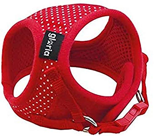 GLORIA 8432288106457 Harness/Kleid Punkte, Rojo, 150 g GLORIA 8432288106457 Harness/Kleid Punkte, Rojo, 150 g von Gloria