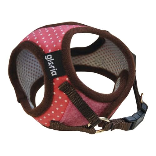 GLORIA 8432288108680 Harness/Kleid Punkte, RO, 150 g GLORIA 8432288108680 Harness/Kleid Punkte, RO, 150 g von Gloria