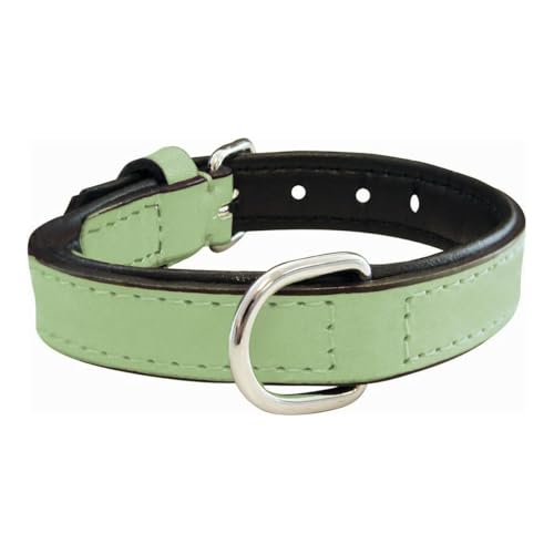 GLORIA 8432288110980 Pelzkragen gepolstert, Verde, 250 g GLORIA 8432288110980 Pelzkragen gepolstert, Verde, 250 g von Gloria