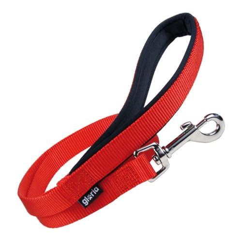 GLORIA 8432288122594 Nylonband, RJ, 250 g GLORIA 8432288122594 Nylonband, RJ, 250 g von Gloria