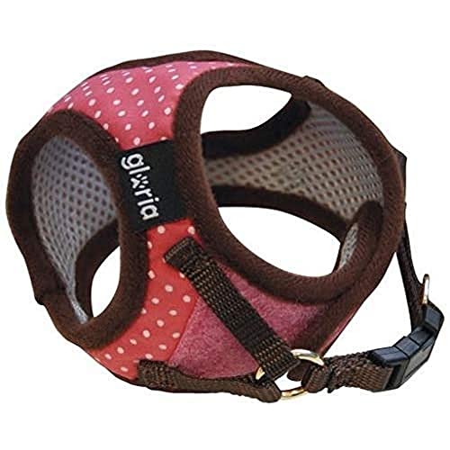 GLORIA 8432288210550 Harness/Kleid Punkte, RO, 150 g GLORIA 8432288210550 Harness/Kleid Punkte, RO, 150 g von Gloria