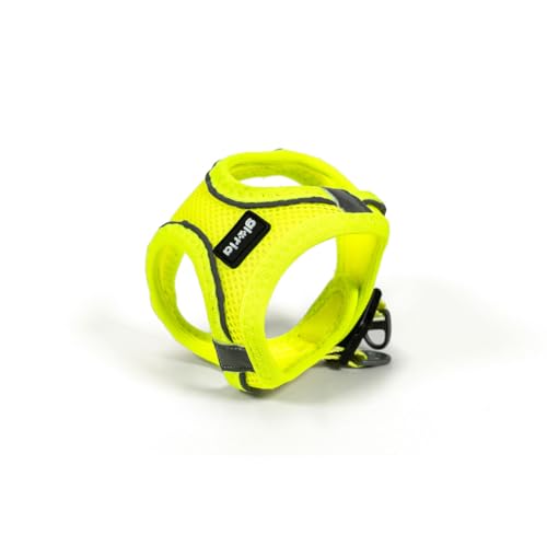 Gloria Trek Star Hundegeschirr, 27-28 cm, 31-34,6 cm, Gelb, XS Gloria Trek Star Hundegeschirr, 27-28 cm, 31-34,6 cm, Gelb, XS von Gloria
