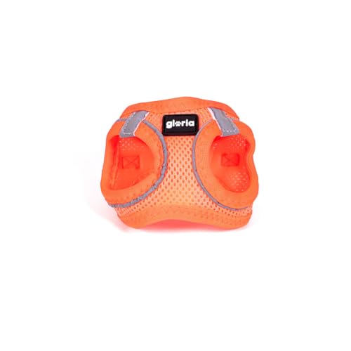 Gloria Trek Star Hundegeschirr 27-28 cm 31-34,6 cm Orange XS von Gloria