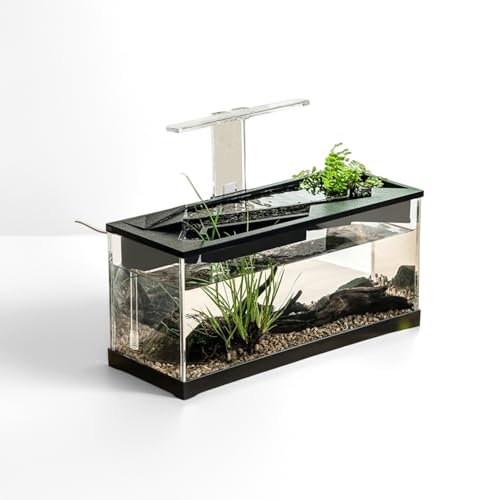 Aquarium Starter Set, Transparenter Desktop Fischbecken Mit Wasserpumpe UNH Licht, Aquarium Komplettset Ökologischem Kreislaufsystem, Fischtank für Fische und Wasserpflanzen, 38 x 14,5 x 18 cm Aquarium Starter Set, Transparenter Desktop Fischbecken Mit Wasserpumpe UNH Licht, Aquarium Komplettset Ökologischem Kreislaufsystem, Fischtank für Fische und Wasserpflanzen, 38 x 14,5 x 18 cm von Glorlliant