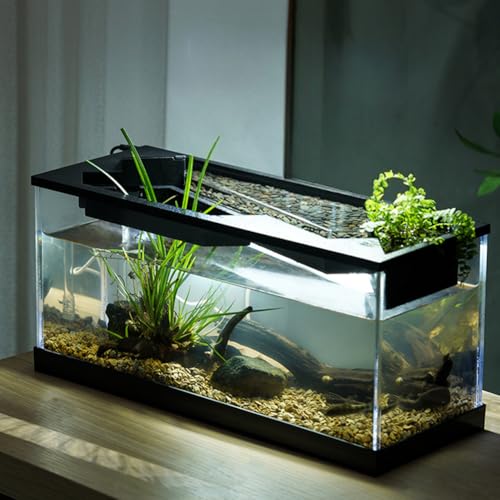 Glorlliant Desktop-Fischbecken mit Luftpumpe, Aquarium und Licht, Aquarium Starter Kits, ökologisches Zyklussystem, Zirkulierende Heizung, Beleuchtung Desktop-Fischtank, 38 x 14,5 x 18 cm von Glorlliant