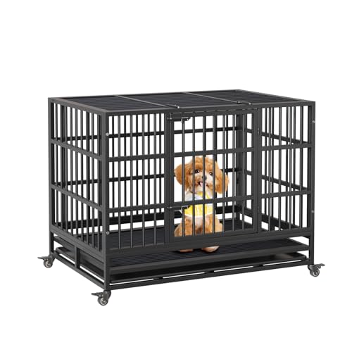 Hundekäfig Für Zuhause 108x72.4x85cm, Klappbar Haustierkäfig Mit 2 Türen & Bodenschale, Transportkäfig Auto, Hundehütte Indoor Outdoor,Hundegitterbox Hundebox Für Zuhause,Kleine/Mittlere/Große Hunde Hundekäfig Für Zuhause 108x72.4x85cm, Klappbar Haustierkäfig Mit 2 Türen & Bodenschale, Transportkäfig Auto, Hundehütte Indoor Outdoor,Hundegitterbox Hundebox Für Zuhause,Kleine/Mittlere/Große Hunde von Glorlliant