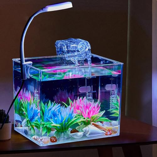Mini Aquarium Klein Aquarien, WüRfel Aquarium Komplett Set Mit Klemmlicht, 15x11x13 cm, Fisch Tank Garnelen Aquarium Starterset, Becken Für Fische Und Wasserpflanzen, L Mini Aquarium Klein Aquarien, WüRfel Aquarium Komplett Set Mit Klemmlicht, 15x11x13 cm, Fisch Tank Garnelen Aquarium Starterset, Becken Für Fische Und Wasserpflanzen, L von Glorlliant