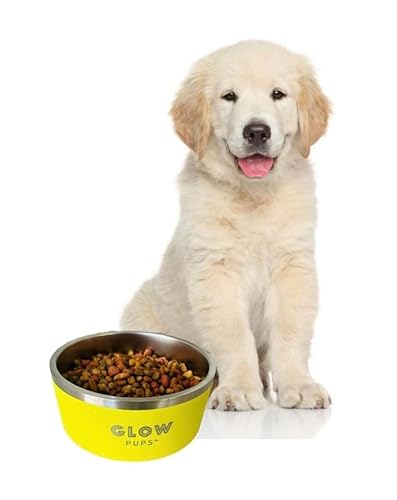 Gelber Edelstahl Haustiernapf, Vakuumisolierter Haustier Futternapf, Rutschfester Hundenapf, Edelstahl Hundenapf, Haustiertrinknapf für drinnen oder draußen (1.8 l, Gelb) von Glow Pups
