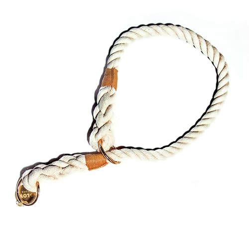 Glow Pups Hundehalsband aus Seil, cremefarben, Ombré-Stil, Schlupfhalsband für mittelgroße und große Hunde, handgefertigt aus strapazierfähigem Seilmaterial, verstellbare Passform für Komfort, Weiß Glow Pups Hundehalsband aus Seil, cremefarben, Ombré-Stil, Schlupfhalsband für mittelgroße und große Hunde, handgefertigt aus strapazierfähigem Seilmaterial, verstellbare Passform für Komfort, Weiß von Glow Pups