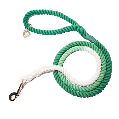 Glow Pups Hundeleine aus robustem Seil, mit komfortablem Schlaufengriff und rostfreiem, drehbarem Karabinerhaken, geflochtene Konstruktion, 144,8 cm, Ombré-Design, stilvolles Design, Grün Glow Pups Hundeleine aus robustem Seil, mit komfortablem Schlaufengriff und rostfreiem, drehbarem Karabinerhaken, geflochtene Konstruktion, 144,8 cm, Ombré-Design, stilvolles Design, Grün von Glow Pups