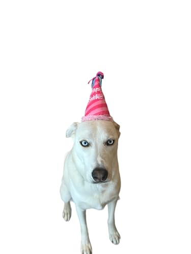 Plüsch Geburtstagsmütze für Hunde mit Quietscher, Rosa Geburtstagsmütze Spielzeug für kleine, mittelgroße und große Hunde, Haustier Geburtstagsgeschenke (Rosa Geburtstagshut Spielzeug) von Glow Pups