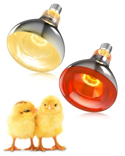 GlowUp 250W Wärmelampen E27 Set - 1x Infrarot Rotlichtlampe Wärmelampe + 1x Tageslicht-Heizbirne, für Hühnerstall Heizung, Kaninchen, Welpen, Ferkel, Lämmer, Kätzchen, Reptilien GlowUp 250W Wärmelampen E27 Set - 1x Infrarot Rotlichtlampe Wärmelampe + 1x Tageslicht-Heizbirne, für Hühnerstall Heizung, Kaninchen, Welpen, Ferkel, Lämmer, Kätzchen, Reptilien von GlowUp