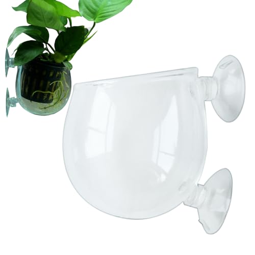 Aquarium-Pflanzgefäß, Aquarienständer | Wassertassen, Glas-Pflanzgefäß für Wasserpflanzen, transparenter und glatter , Rot-Futterspender mit Saugnapf für Aquarien, E Aquarium-Pflanzgefäß, Aquarienständer | Wassertassen, Glas-Pflanzgefäß für Wasserpflanzen, transparenter und glatter , Rot-Futterspender mit Saugnapf für Aquarien, E von Glugahrif