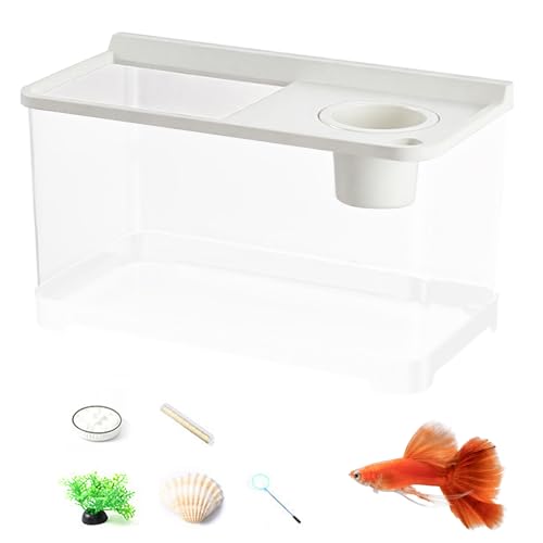 Betta Aquarium 3 Farben Licht, Landschaftsgestaltung Fischtank, Aquarium Für Hydrokultur Tisch Arbeitsplatz Wohnzimmer Schlafzimmer Betta Aquarium 3 Farben Licht, Landschaftsgestaltung Fischtank, Aquarium Für Hydrokultur Tisch Arbeitsplatz Wohnzimmer Schlafzimmer von Glugahrif