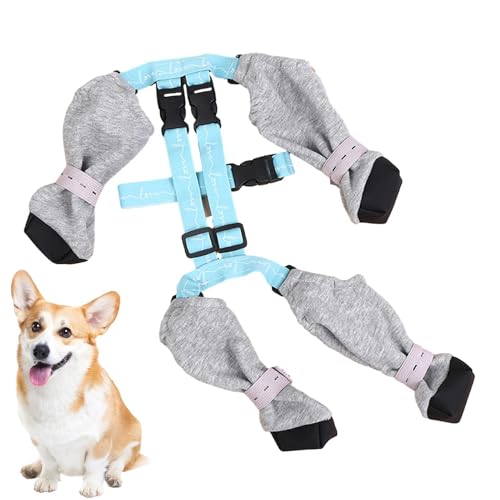 Glugahrif Hundestiefel-Leggings Regenstiefel Für Hunde Wasserdicht Pfoten-Verstellbare Hunde Atmungsaktiv Hundestiefel, Dog Shoes Pfotenschutz Für Kleine, Mittelgroße Und Große Hunde Glugahrif Hundestiefel-Leggings Regenstiefel Für Hunde Wasserdicht Pfoten-Verstellbare Hunde Atmungsaktiv Hundestiefel, Dog Shoes Pfotenschutz Für Kleine, Mittelgroße Und Große Hunde von Glugahrif