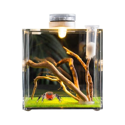 Sprungspinnengehäuse, Clear Glass Reptile Container - Reptilienwachstum Terrarium - Leichte und kleine Tierzüchter für Schildkröten, Käfer, Schnecken und Eidechsen von Glugahrif