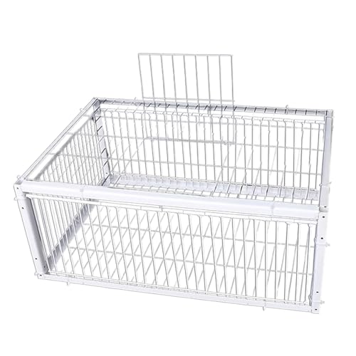 Taubenkäfig, automatische Fluchtfalle für Vögel, Geflügelmanagement, Zubehör für Tiere mit 4 Eingängen für Gärten für Papageien, Wellensittiche und Spatzen von Glugahrif
