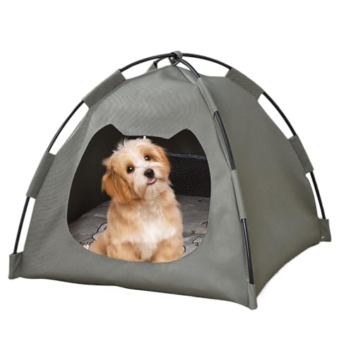 Zelt für Katzen, Höhlenzelt, Höhle, Bett, für Katzen, Haus, Bett, tragbar, atmungsaktiv, für kleine Tiere, Kätzchen, Welpen, Kaninchen, Spiel für drinnen und draußen, Reisen, Camping, alle Zelt für Katzen, Höhlenzelt, Höhle, Bett, für Katzen, Haus, Bett, tragbar, atmungsaktiv, für kleine Tiere, Kätzchen, Welpen, Kaninchen, Spiel für drinnen und draußen, Reisen, Camping, alle von Glugahrif
