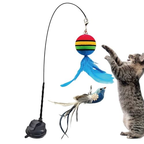 Gmokluytw Katzen Aktivitätsspielzeug | Vogel Spielzeug Zur Katzenergänzung - Handangel Mit Saugnapf Für Bewegung Und Geistige Förderung Im Haus Gmokluytw Katzen Aktivitätsspielzeug | Vogel Spielzeug Zur Katzenergänzung - Handangel Mit Saugnapf Für Bewegung Und Geistige Förderung Im Haus von Gmokluytw