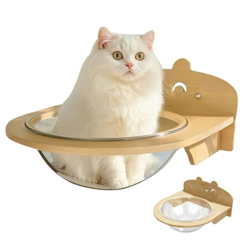 Gmokluytw Katzen Bett, Katzenhängematte Mit Saugnäpfen, Platzsparend Für Haustier Kätzchen Sonnenbad Ruhe Schlaf Für Zuhause Schlafzimmer Küche Wintergarten Büro Gmokluytw Katzen Bett, Katzenhängematte Mit Saugnäpfen, Platzsparend Für Haustier Kätzchen Sonnenbad Ruhe Schlaf Für Zuhause Schlafzimmer Küche Wintergarten Büro von Gmokluytw