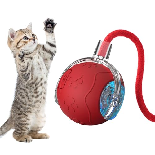 Gmokluytw Rolling Ball Cat Toy, Katzenspielzeugkugeln für Innenkatzen | Puzzle -Katzenspielzeug intelligenter Sensing Rolling Ball - Haustierbedarf, wiederaufladbare Haustierkatze für kleine und Gmokluytw Rolling Ball Cat Toy, Katzenspielzeugkugeln für Innenkatzen | Puzzle -Katzenspielzeug intelligenter Sensing Rolling Ball - Haustierbedarf, wiederaufladbare Haustierkatze für kleine und von Gmokluytw