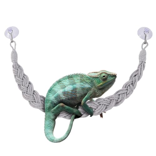 Kletterspielzeug Für Einsiedlerkrebse – Hängeseil Mit Haken Für Reptilien – Wolle-Kletterleiter Für Terrarium – Zubehör Für Geckos, Echsen, Frösche, Schlangen, Saugnapfhalterung, Dekoration Kletterspielzeug Für Einsiedlerkrebse – Hängeseil Mit Haken Für Reptilien – Wolle-Kletterleiter Für Terrarium – Zubehör Für Geckos, Echsen, Frösche, Schlangen, Saugnapfhalterung, Dekoration von Gmokluytw