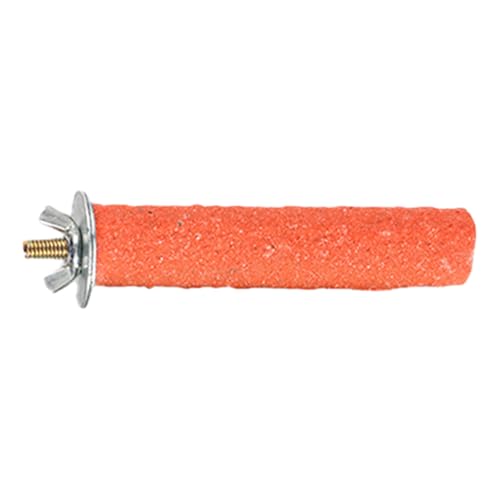 Vogelpose - Svante -Stick für Schnabel und Krallen | Stehende Auktion für und Eichhörnchen | Accessoire Sandsand Quarz, Waschbar, Nicht -Slip, natürliche, zufällige Farben Vogelpose - Svante -Stick für Schnabel und Krallen | Stehende Auktion für und Eichhörnchen | Accessoire Sandsand Quarz, Waschbar, Nicht -Slip, natürliche, zufällige Farben von Gmokluytw