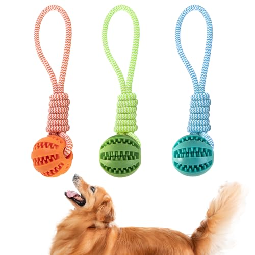 GmwyCzV 3 Stück Hundespielzeug,5cm Hundespielzeug Ball mit Seil Naturkautschuk Ball,Interaktives Hundeball Spielzeug,Kauspielzeug für kleine mittlere große Hunde für Zahnpflege (Blau Orange Grün) von GmwyCzV