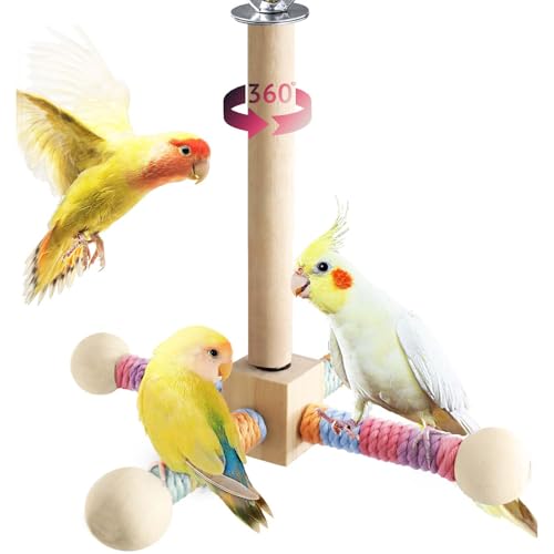 GmwyCzV 360°Drehbares Holz Vogel Spielzeug, Vögel Spielzeug Holz Karussell, Wellensittich Zubehör, Karussell Vogelspielplatz Hängende Spielständer, Geeignet für Kleine,Mittlere Papageien GmwyCzV 360°Drehbares Holz Vogel Spielzeug, Vögel Spielzeug Holz Karussell, Wellensittich Zubehör, Karussell Vogelspielplatz Hängende Spielständer, Geeignet für Kleine,Mittlere Papageien von GmwyCzV