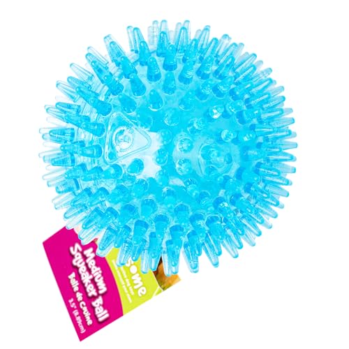 Gnawsome Hundespielzeug mit Quietschball, Größe M, 8,9 cm, Farben variieren, alle Rassengrößen Gnawsome Hundespielzeug mit Quietschball, Größe M, 8,9 cm, Farben variieren, alle Rassengrößen von Gnawsome