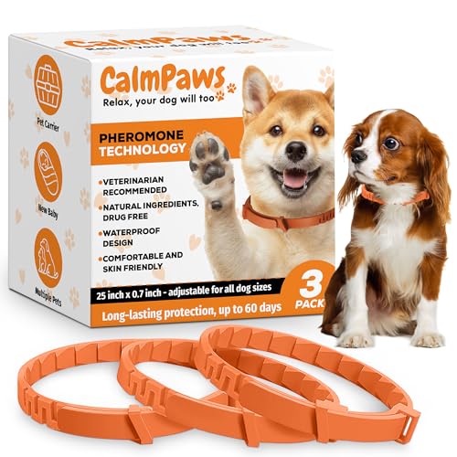 Beruhigendes Halsband für Hunde Beruhigendes Halsband für Hunde von GoGlobalSC