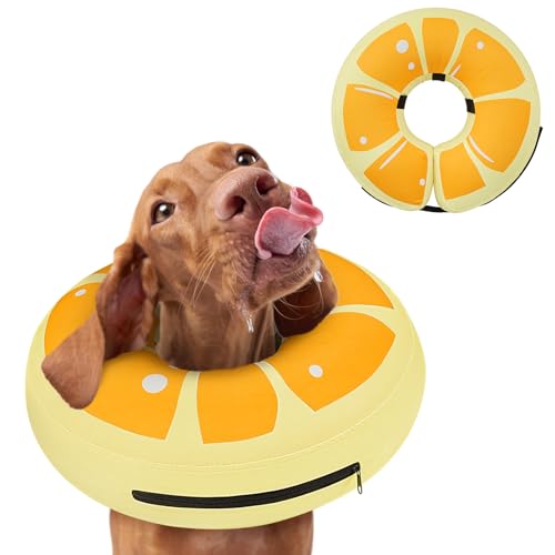 Aufblasbares Hundekegelhalsband für nach Operationen – weicher Hundehals, Donut-Halsband, um Lecken zu verhindern, verstellbarer Hunde-Genesungskegel, geeignet für kleine, mittelgroße und große Hunde Aufblasbares Hundekegelhalsband für nach Operationen – weicher Hundehals, Donut-Halsband, um Lecken zu verhindern, verstellbarer Hunde-Genesungskegel, geeignet für kleine, mittelgroße und große Hunde von GoGoPaw
