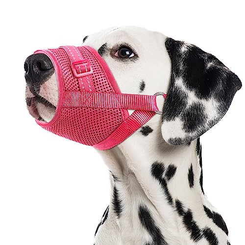 GoGoPaw Hundemaulkorb, weicher Air-Mesh-Maulkorb für große Hunde, verstellbarer Haustiermaulkorb für kleine mittelgroße Hunde, um frei zu trinken, atmungsaktiv, reflektierend Maulkorb für Hunde, um von GoGoPaw